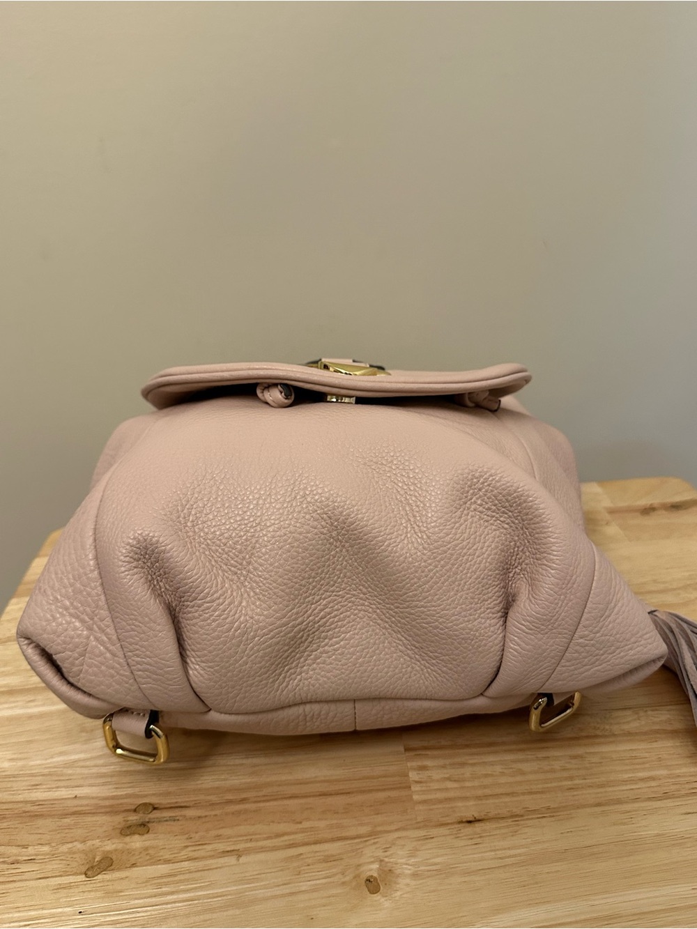 G.I.L.I. Blush Pink Leather Hobo with Gold Hardware - Picture 14 of 16